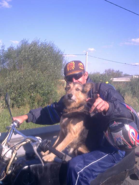 ���������� ���� ��������