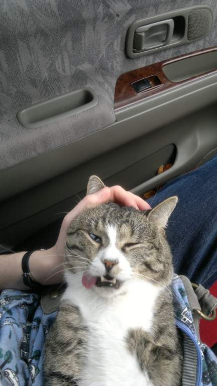 ������� ������ � �����