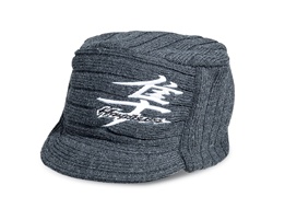 ����������� ���������� Hayabusa