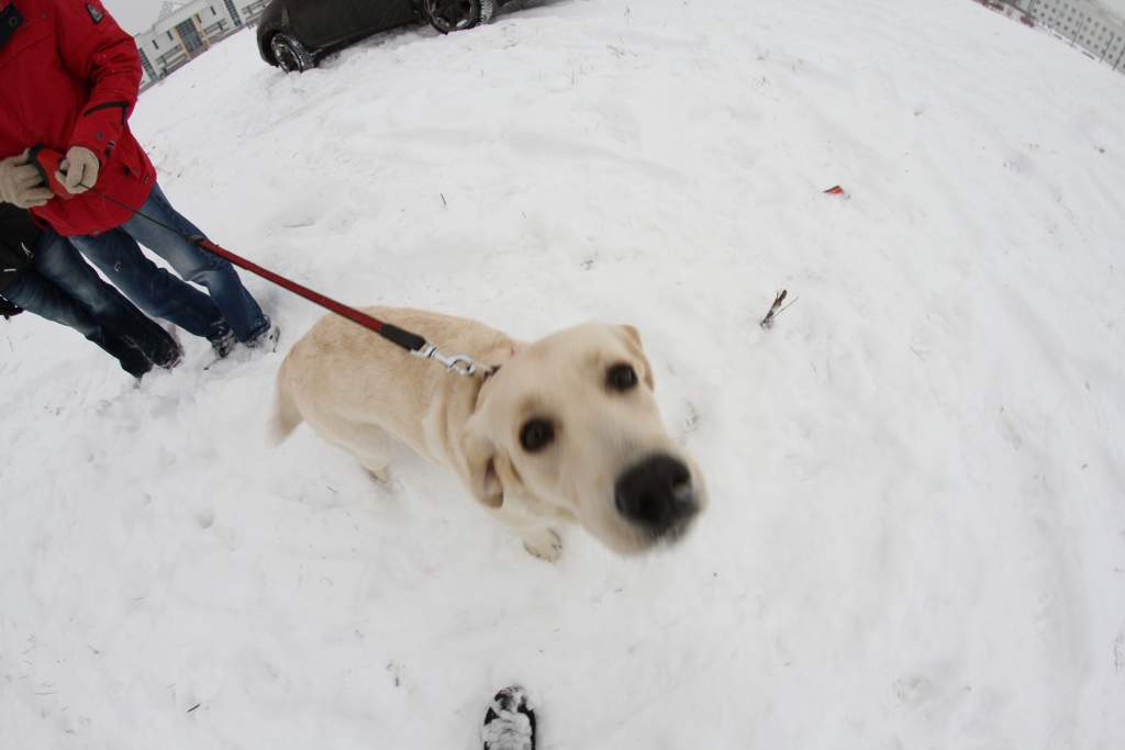 hayabusa club 4�4 chalenge