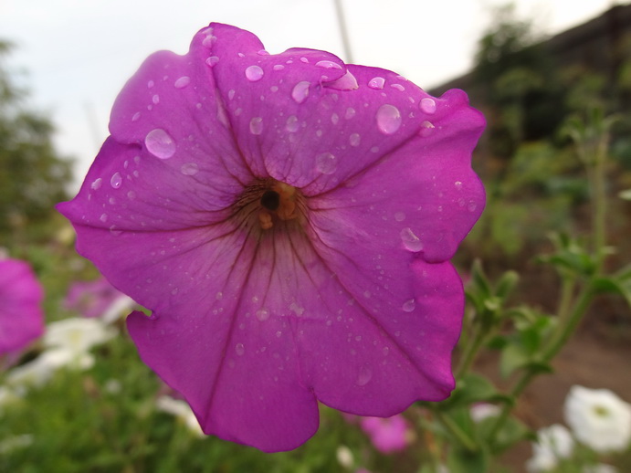 ������������ � ����: ������������, ������, ������