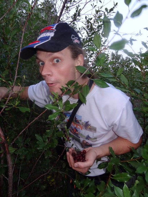 ������������ � ����: ������������, ������, ������