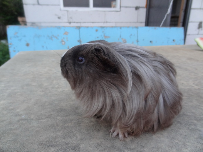 ������������ � ����: ������������, ������, ������