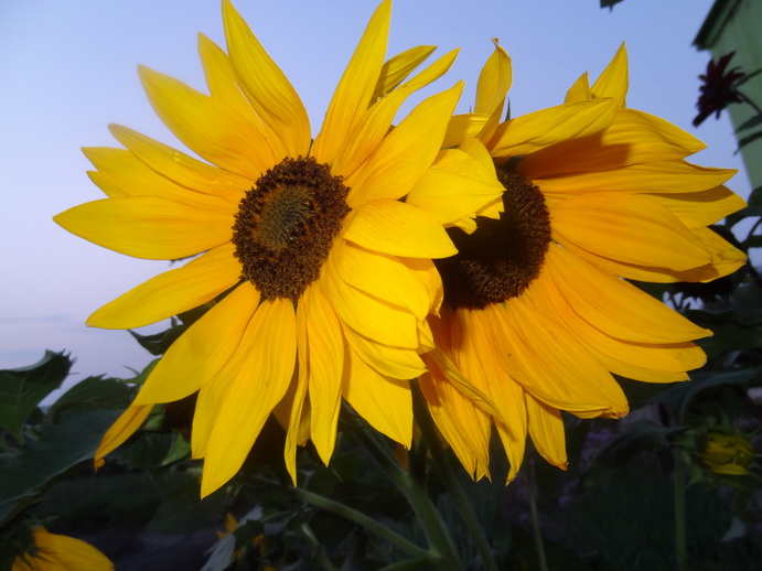 ������������ � ����: ������������, ������, ������