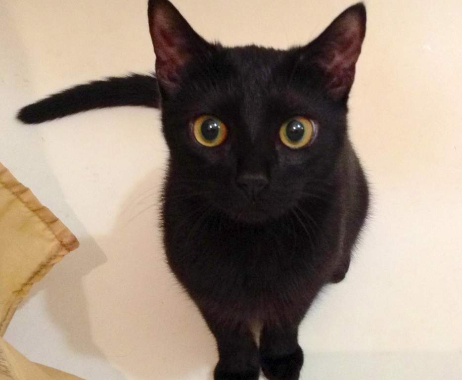 ������ ����