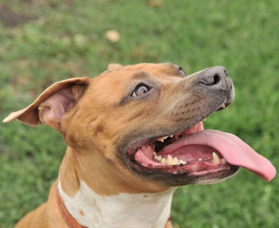 ��� ����� �������� �������?