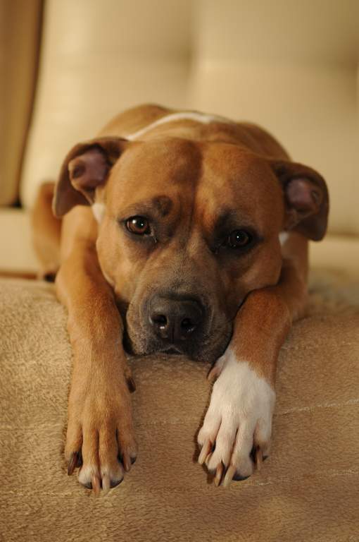 ��� ����� �������� �������?