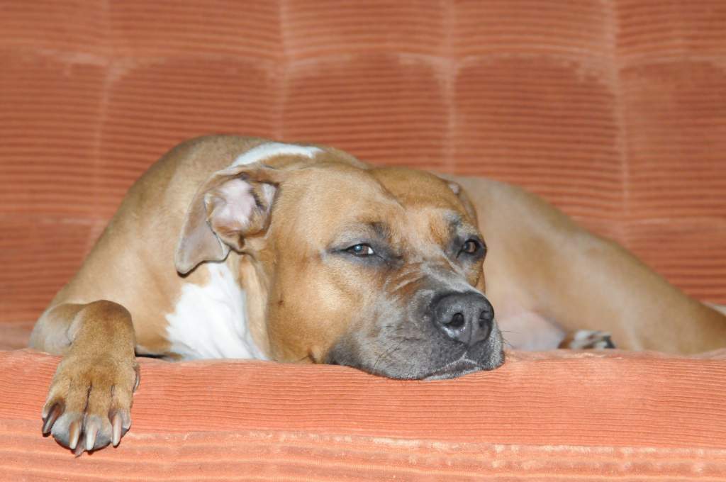 ��� ����� �������� �������?