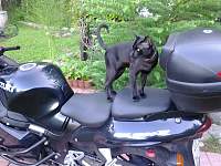 ������� �� ����������� ��� ����������
��������: ���.jpg
����������: 62
������:	104.1 ��
ID:	13701