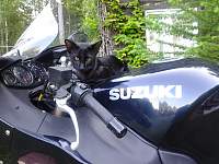 ������� �� ����������� ��� ����������
��������: ���1.jpg
����������: 50
������:	105.2 ��
ID:	13702