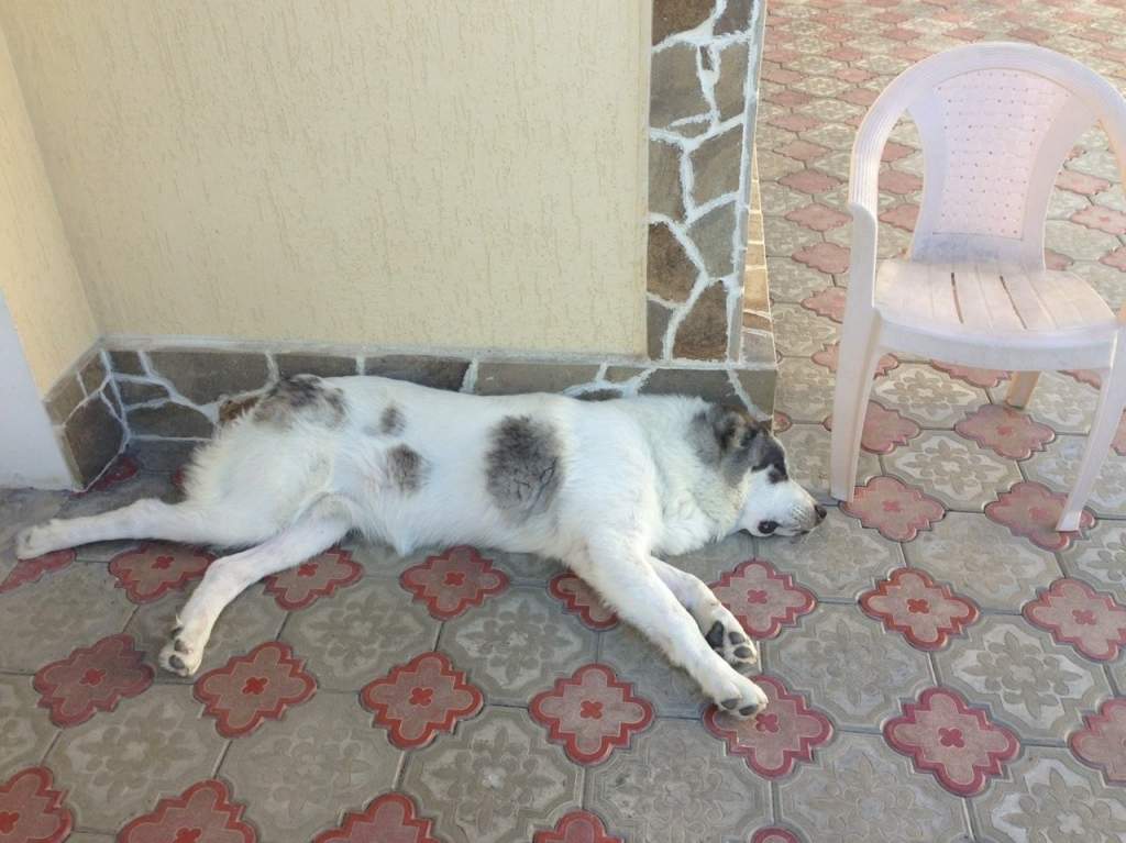 �������� ��������� "��������� ��������������"