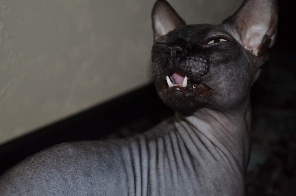 ��� ����� �������� �������?