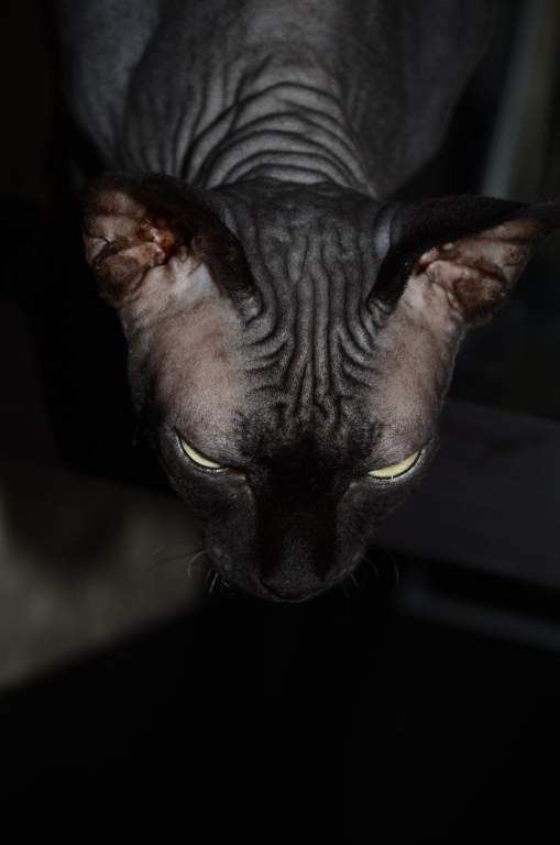 ��� ����� �������� �������?