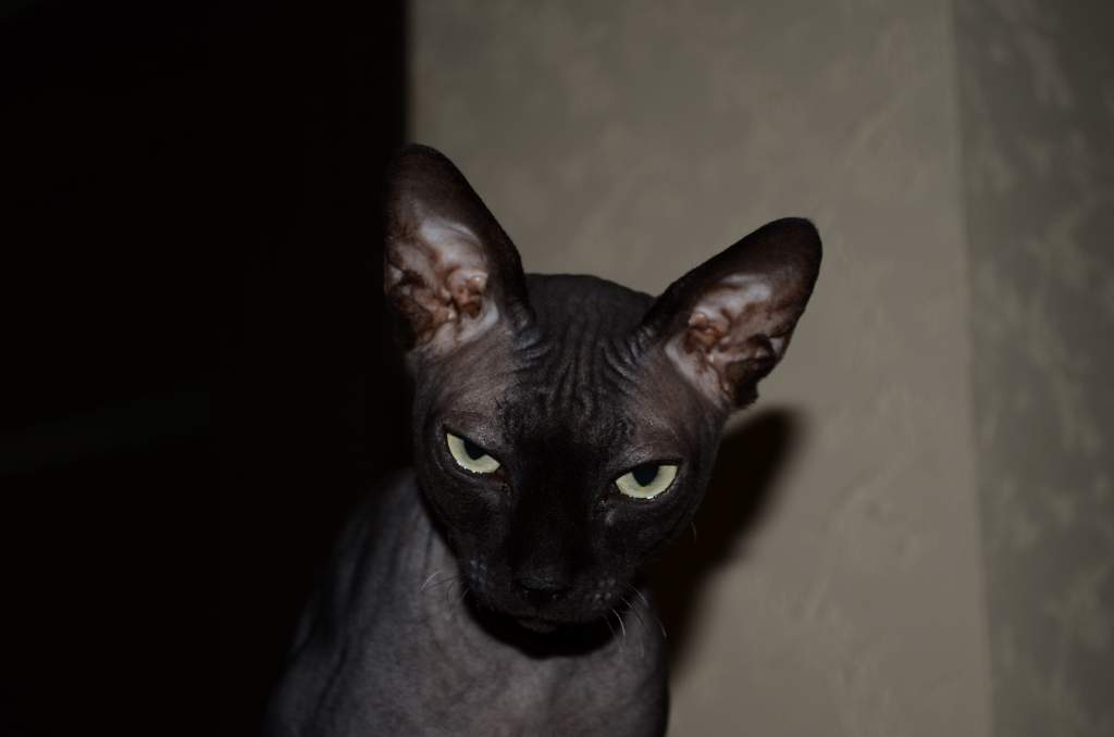    ?
