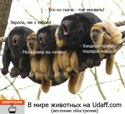 ������ ��������