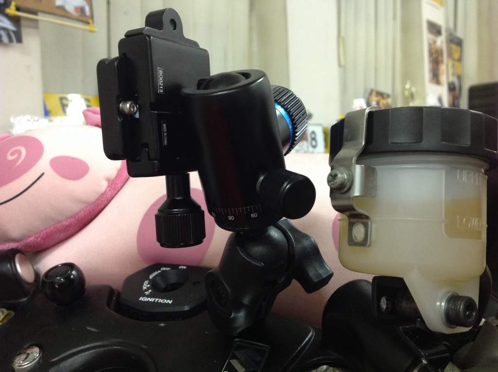 ��������� ����