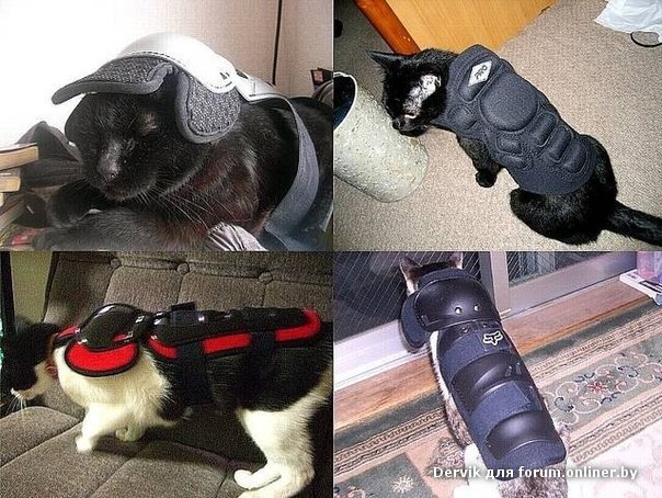 ���������� ���� ��������