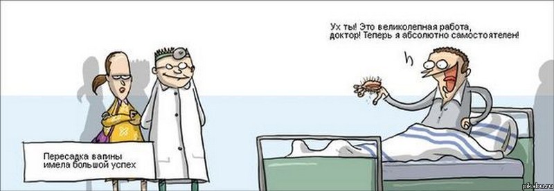 ������ ����