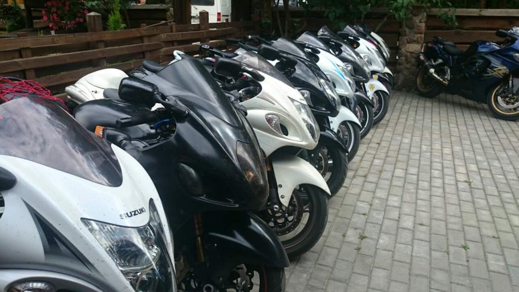 ����-���� 2014 �����