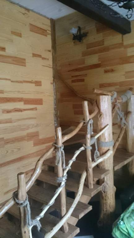 ����-���� 2014 �����