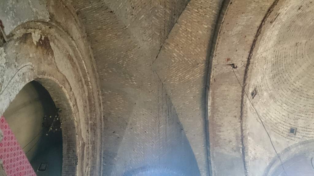 ����-���� 2014 �����