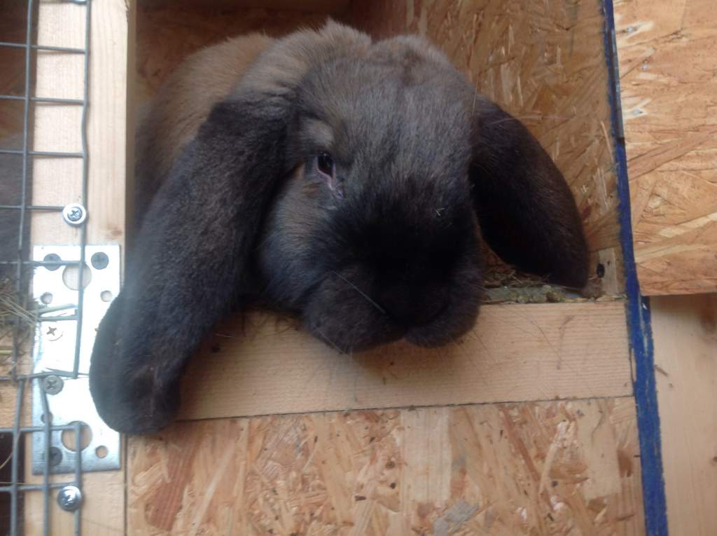 ��� ����� �������� �������?