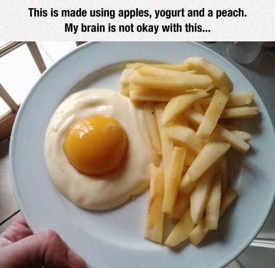 ������ ��������