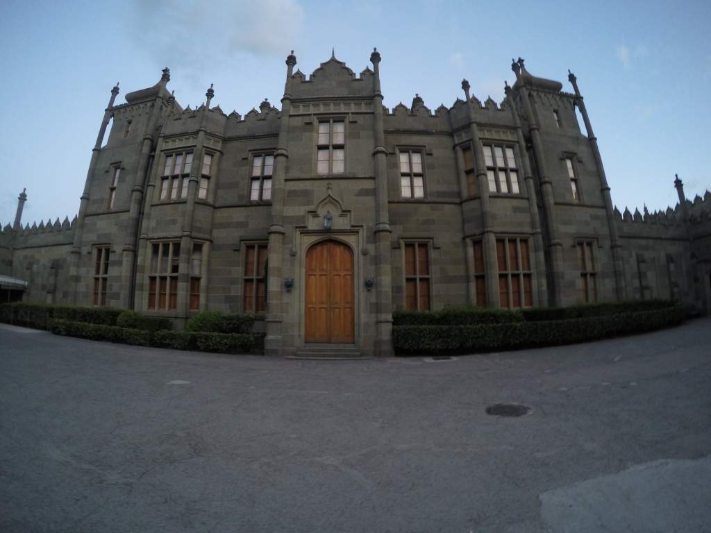 ����-���� ���� 2015