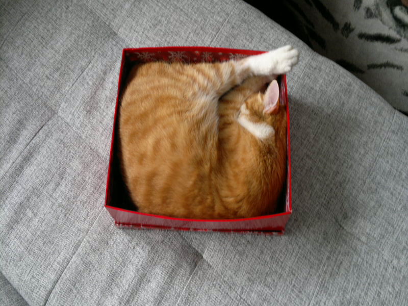 �������� �8