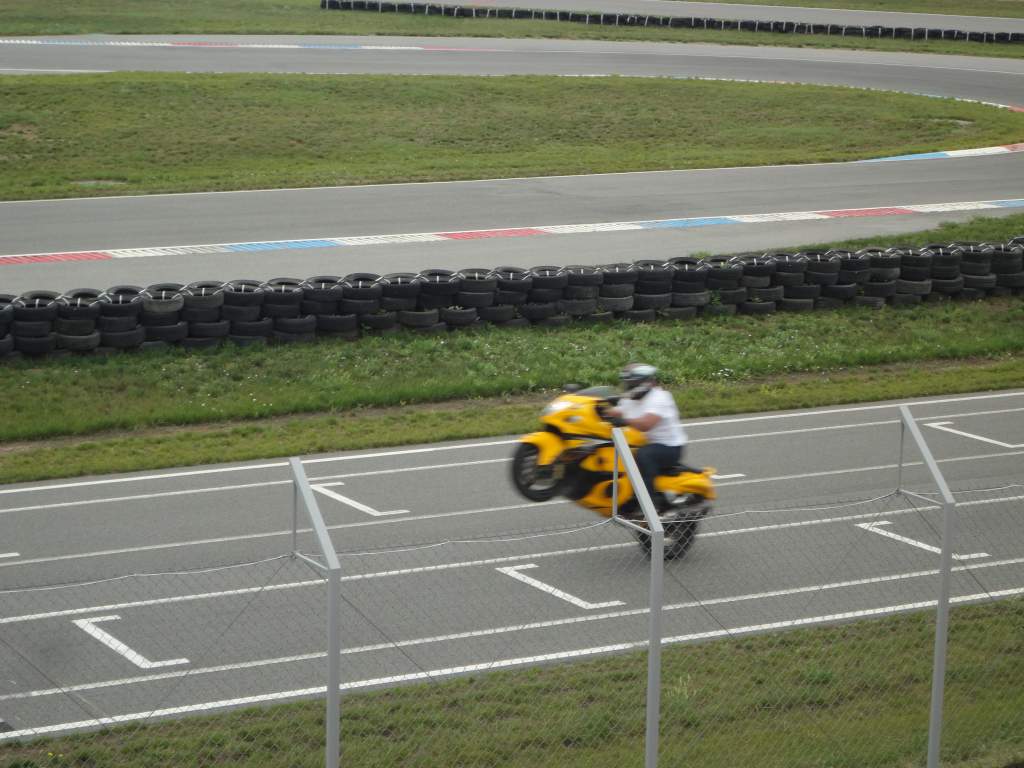 ����-���� ���� 2015