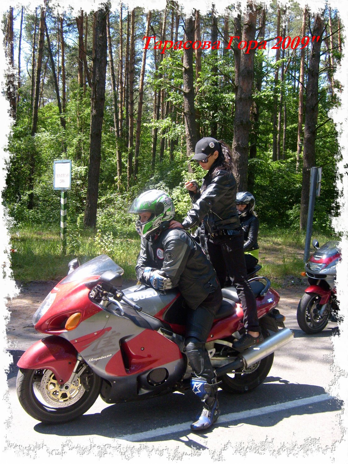 �������� ���� 2009