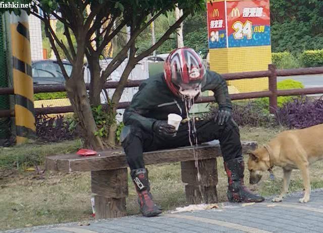 ���������� ���� ��������