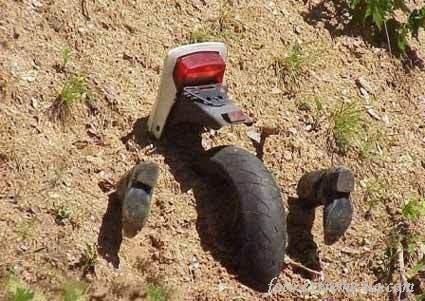 ���������� ���� ��������