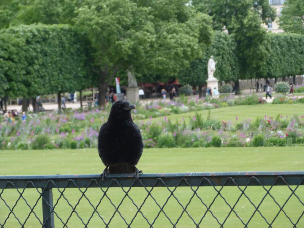 ����������� ������