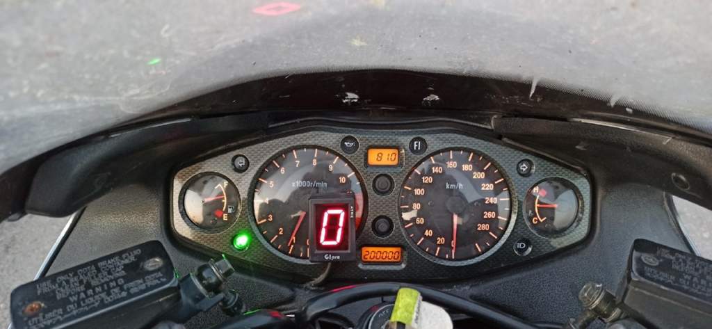 � ���� ����� �������