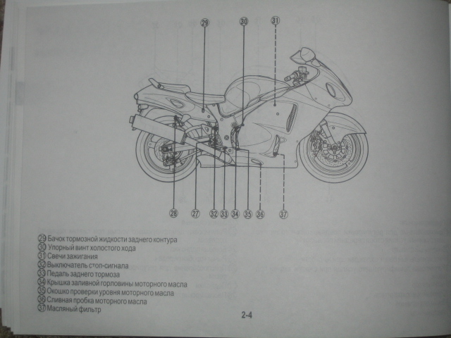   Hayabusa