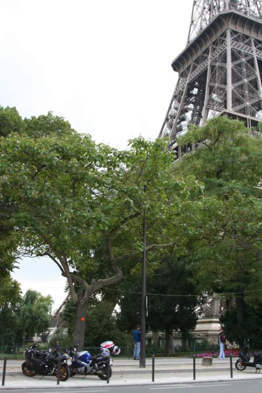 ������-������-������.