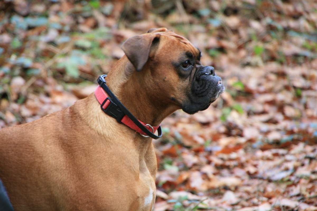 ��� ����� �������� �������?