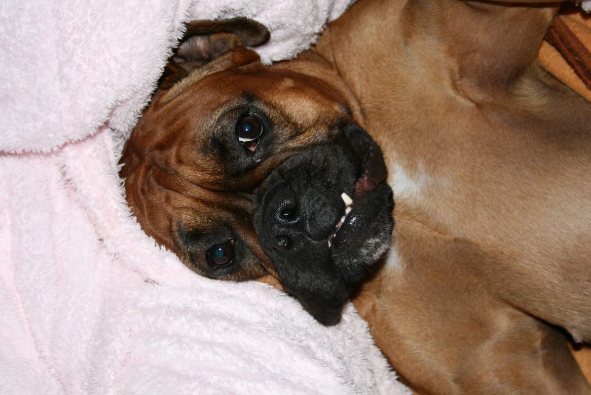 ��� ����� �������� �������?