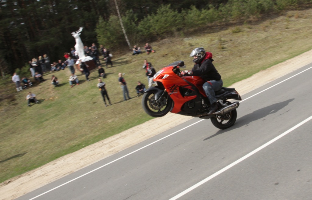 �������� 2011. ����, ������.