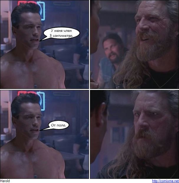 � ���� ����� �������