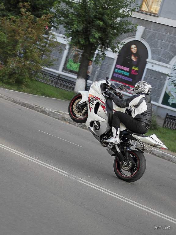 ��������. ���� 2011, ����