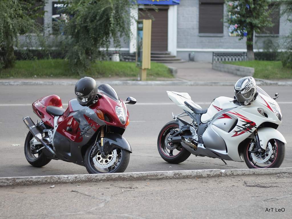 ��������. ���� 2011, ����