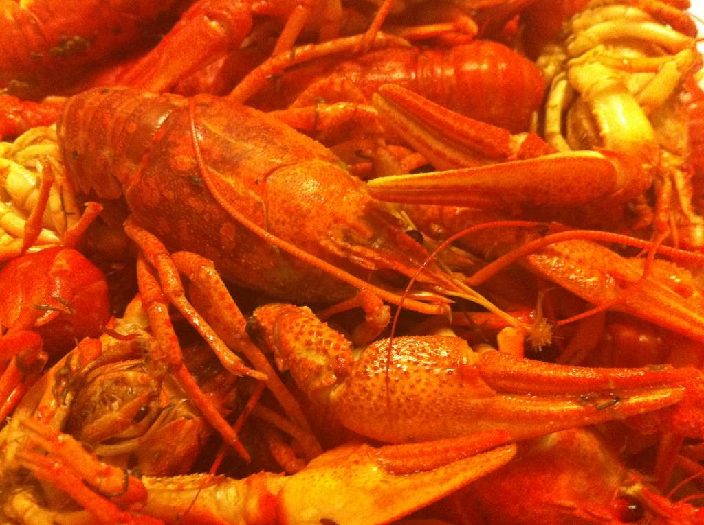 �������� 2011 ����