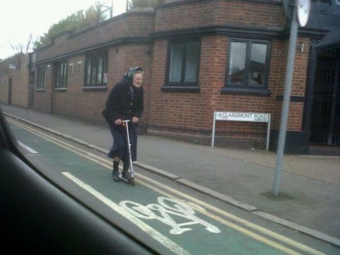 ������ ��������