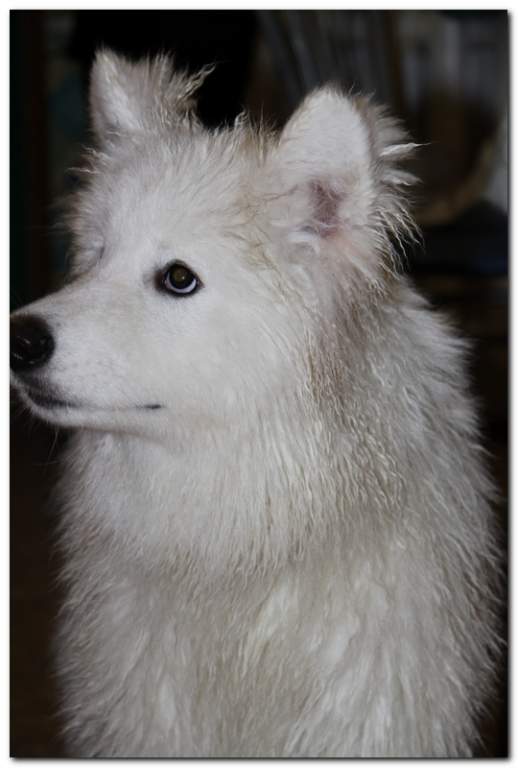    ?