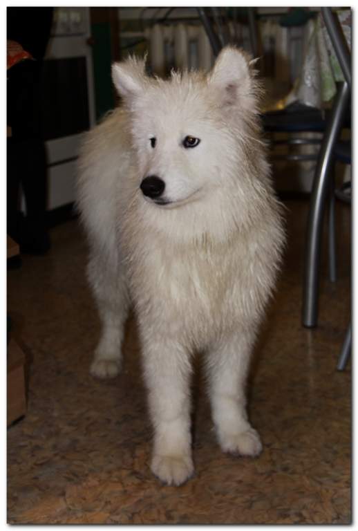 ��� ����� �������� �������?