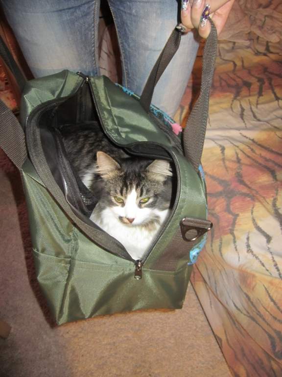 ��� ����� �������� �������?