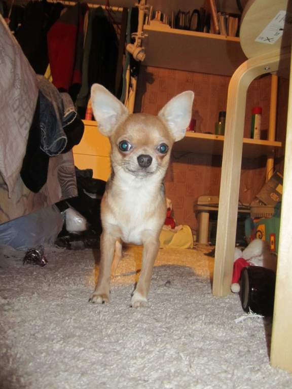 ��� ����� �������� �������?