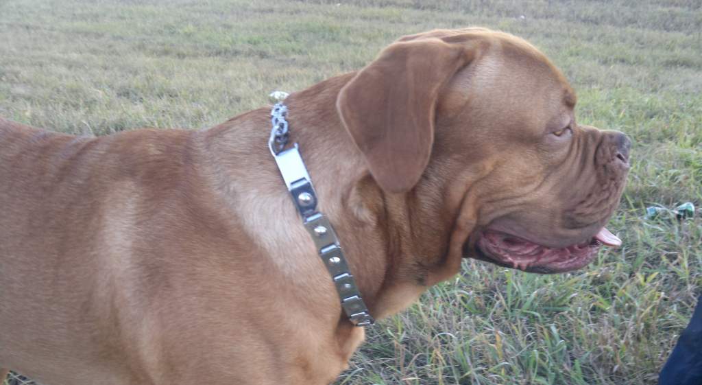 ��� ����� �������� �������?